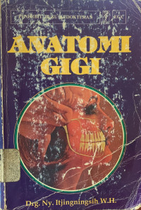 Image of Anatomi gigi
