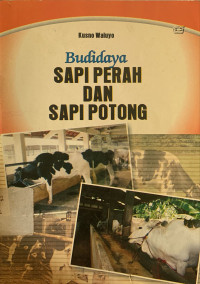 Budidaya sapi perah dan sapi potong
